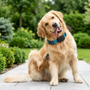 Everguard™ GPS Pet Tracking Collar