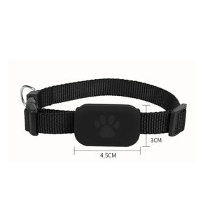 Everguard™ GPS Pet Tracking Collar